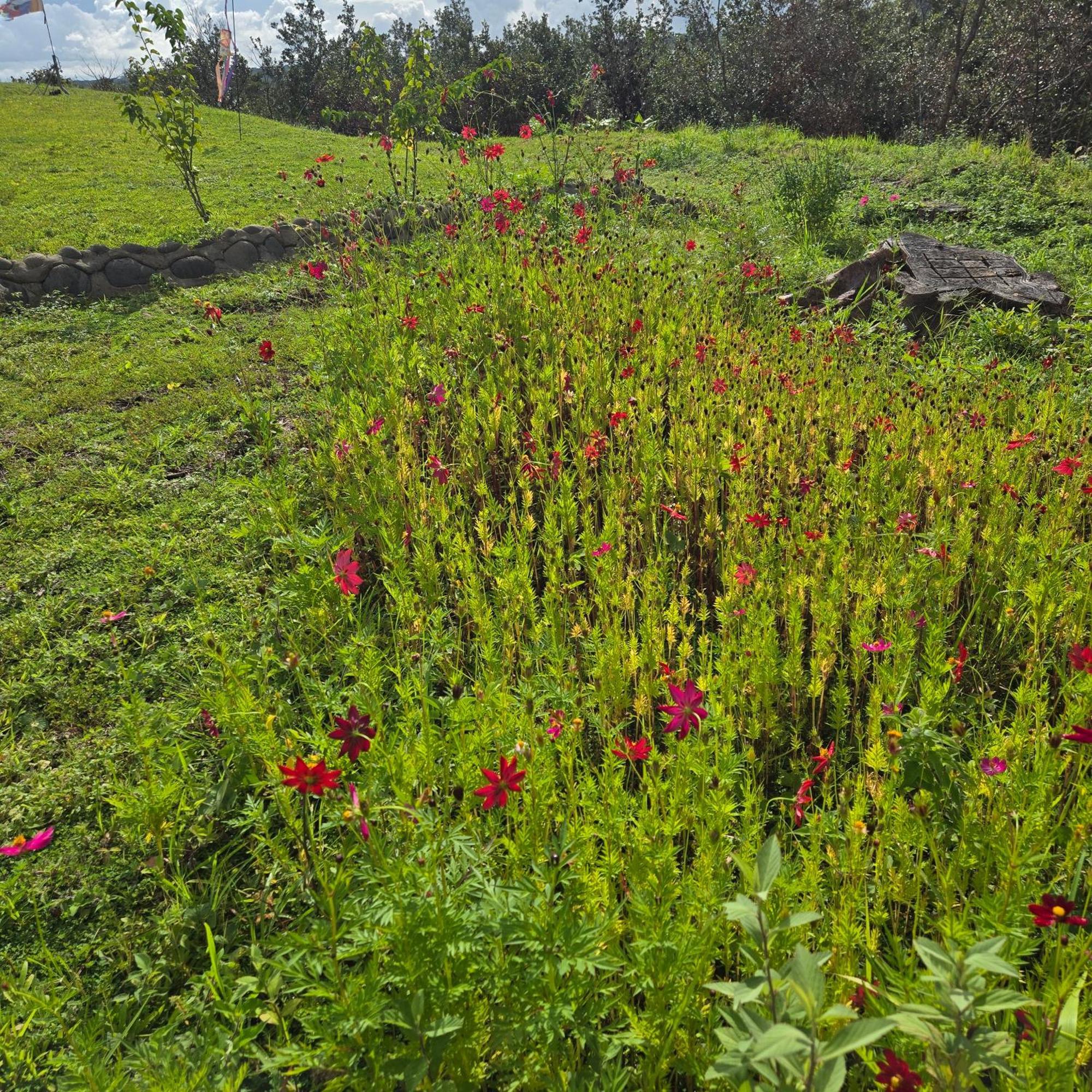 Hacienda En Los Volcanes Guayabo  外观 照片