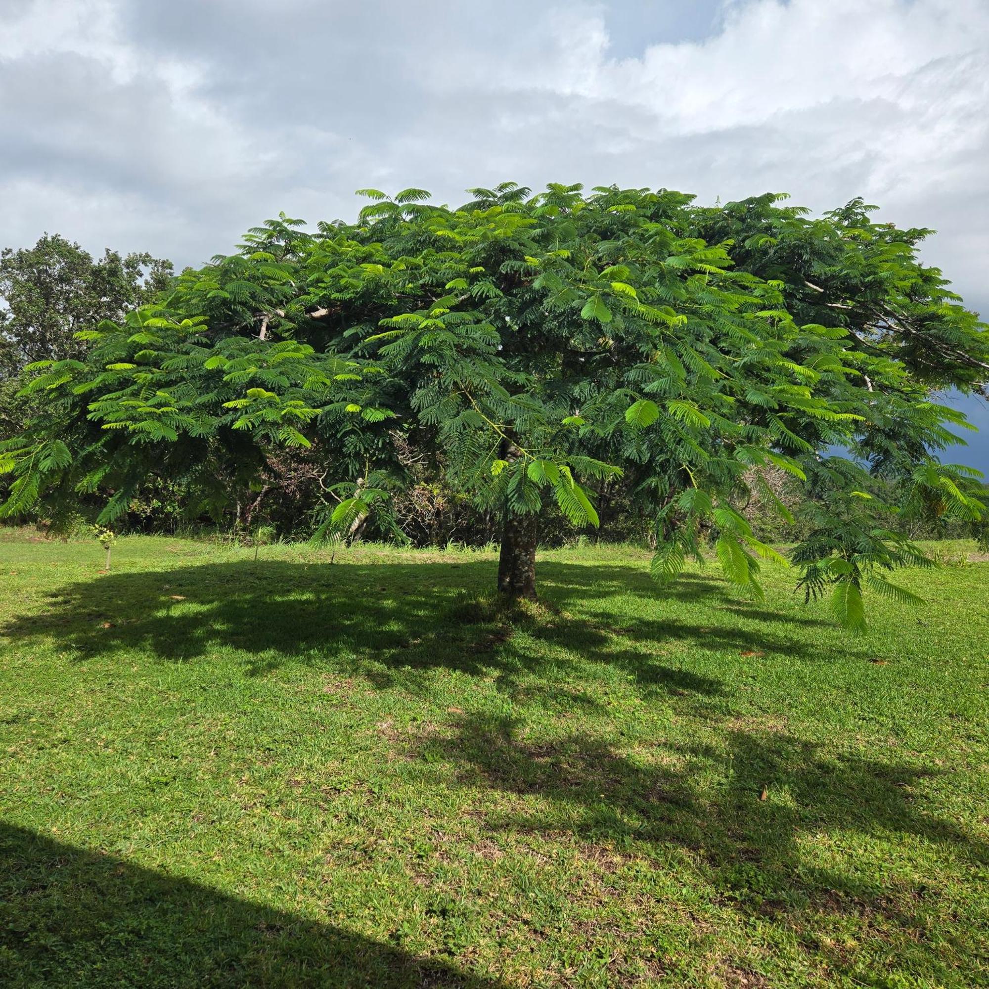 Hacienda En Los Volcanes Guayabo  外观 照片