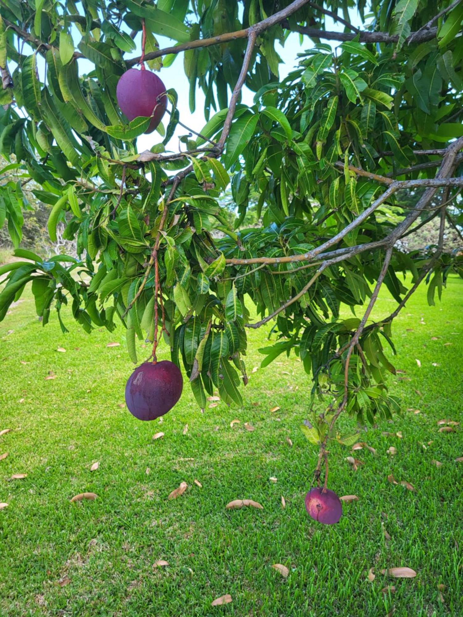 Hacienda En Los Volcanes Guayabo  外观 照片