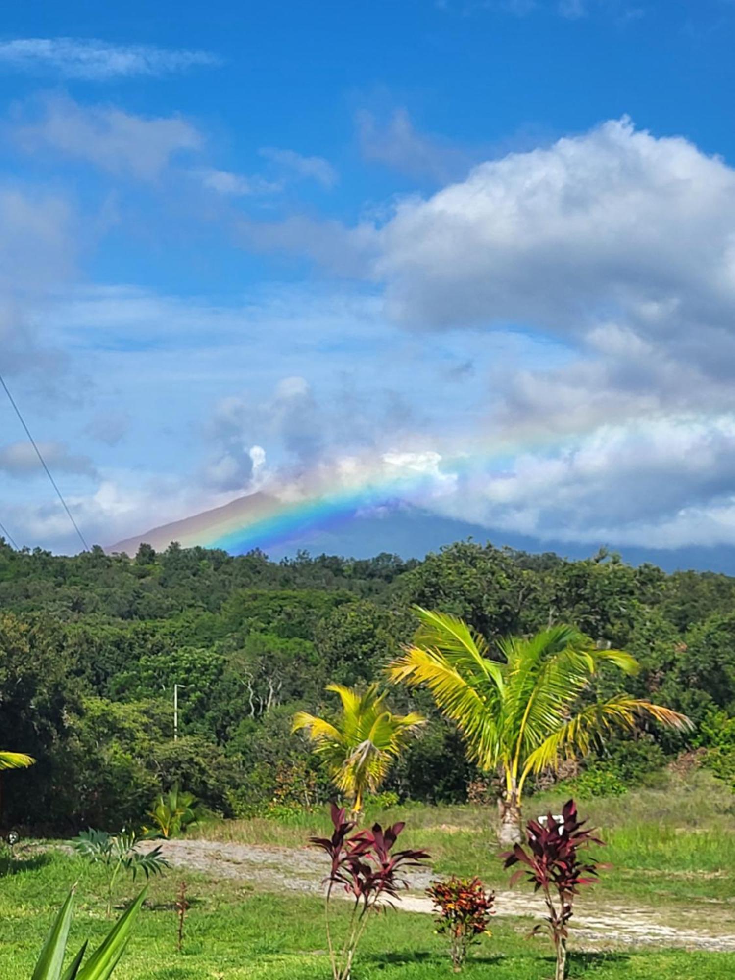 Hacienda En Los Volcanes Guayabo  外观 照片